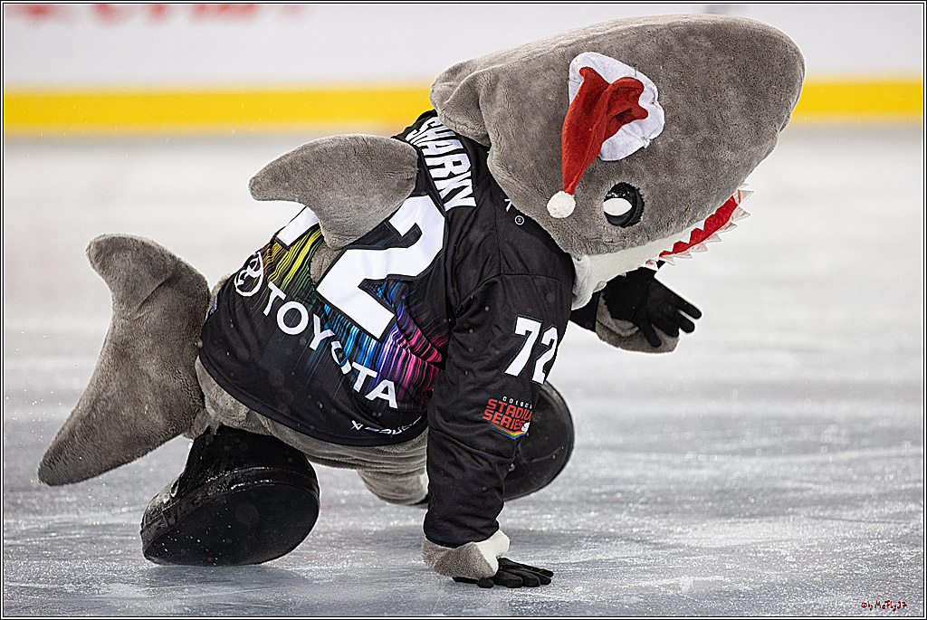 PENNY DEL;  Kölner Haie - Fischtown Pinguins; Köln, 22.12.2022